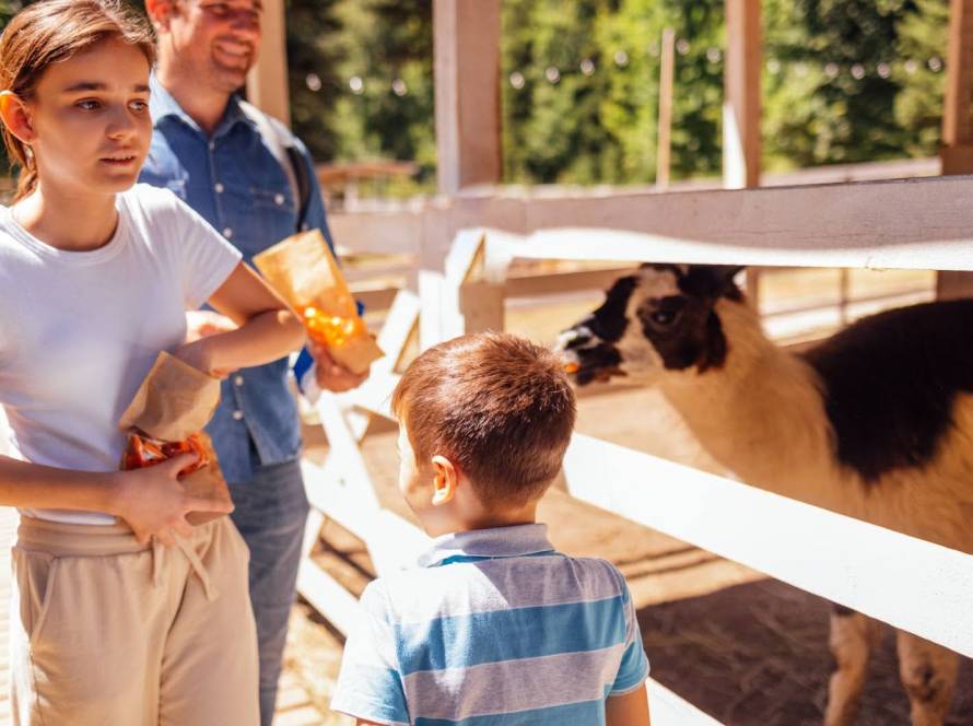 A happy family is at a petting zoo, feeding animals.